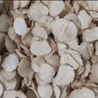 موسیر