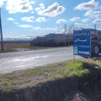 برنج شمال با ضمانت بدون تاریخ عمده خرده،طارم هاشمی