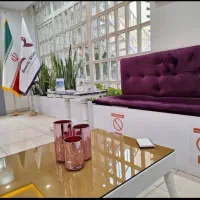 منشی خانم و آقا