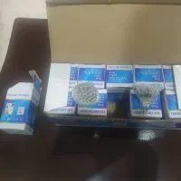 لامپسوزنی