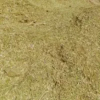 فروش کاه عدس درجه یک حدود۴۰تن