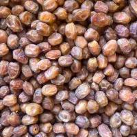 خرمای خاصویی(کشتی) آجیلی