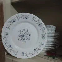 آرکوپال