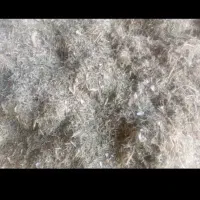 کاه لوبیا چیتی و سفید