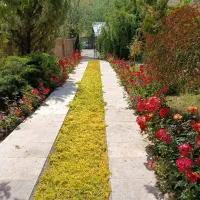 سوییت شهرک طالقان