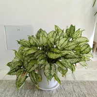 گل طبیعی باگلدون سرامیک