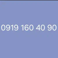 0919.160.40.90