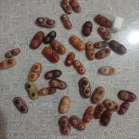 طبیعی و اصل