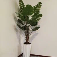 گل ها خارجی لمسی درجه یک