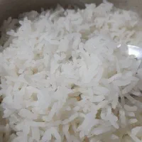 برنج طارم هاشمی آملی