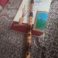 انواع نی هفتبندجنس نی کویری  دومهرباسوخنه نگاری