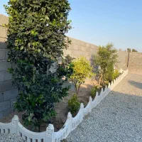 باغ-و-باغچه-186-متری-دنج-و-لوکس