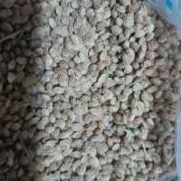 تخم یونجه گلنگار