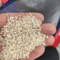 خرده برنج محلی تنگ لاله