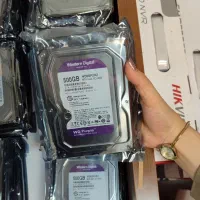 هارد 500 گیگابایت وسترن بنفش