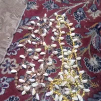 بندسوزن گوش ماهی