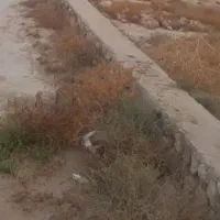 فروش-زمین-گورک-کله-بندی
