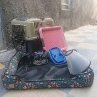 وسایل مورد نیاز سگ