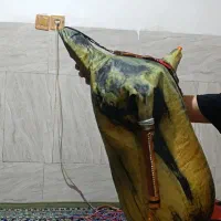 نی انبون حرفه ای مجلسی