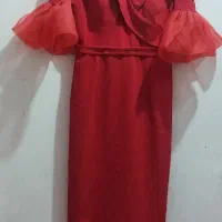 مجلسی جنس کشی
