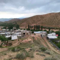 فروش ماهی قزل آلا از دل روستا