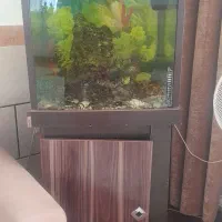 اکواریوم ام دی اف
