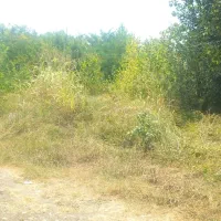 زمین در اسالم