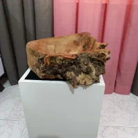 میوه خوری چوبی و تابلو چوب و خط