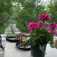 خوشنویسی کودکان و نونهالان مداد و خودکار