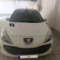 ۲۰۷ دنده ای سالم
