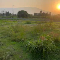 فروش زمین ۱۶۵۰ متر تهاتر