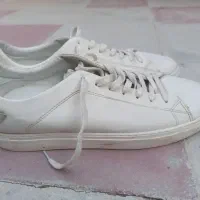 کفش سایز ۴۱
