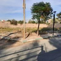 زمین مسکونی  پیشوا روستای علی آباد (قشلاق گنجی)