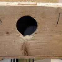 جای تخم عروس و کوتوله