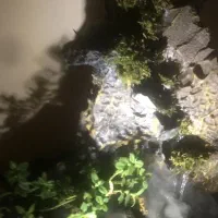 آب نما خانگی حرفه ای