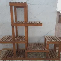 استندگل وگیاه