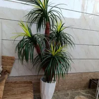 درخت نخل با گلدان سرامیکی|گل مصنوعی|تاکستان, |دیوار