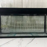 اکواریوم