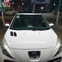 207 1401 پاناروما در حد خشک