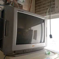تلوزیون