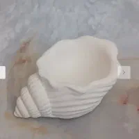 قالب سیلیکونی صدف