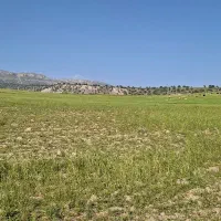 زمین فروشی