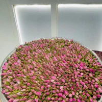 غنچه گل محمدی