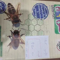 کتاب کمک درسی نهم به دهم نمونه و تیزهوشان
