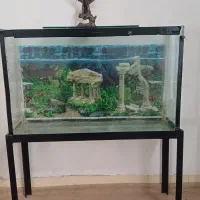 اکواریوم