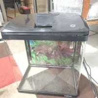 آکواریوم
