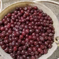 البالو رسمی