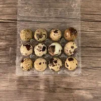 تخم بلدرچین خوراکی