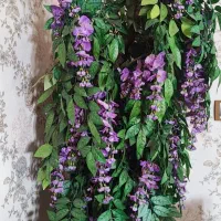 گل درختی