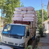 کاه گندم